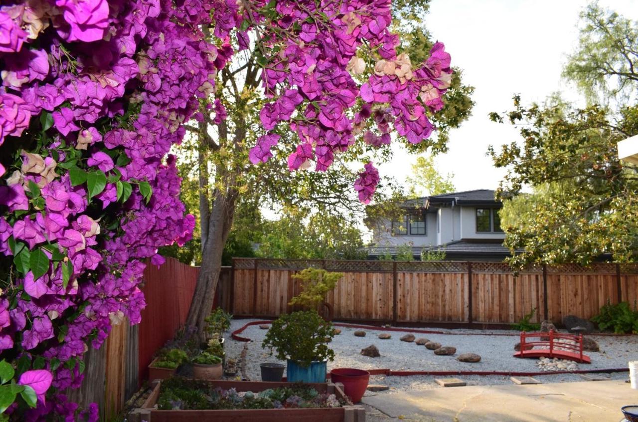 Palo Alto Quiet 1 Bedroom Stanford University Экстерьер фото